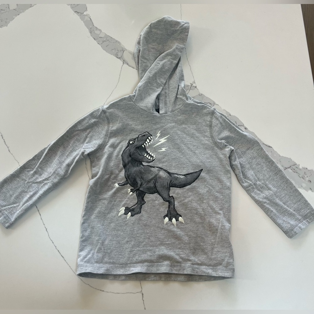 Hatley Boys Dino Long Sleeve Hoodie Tee-4T
